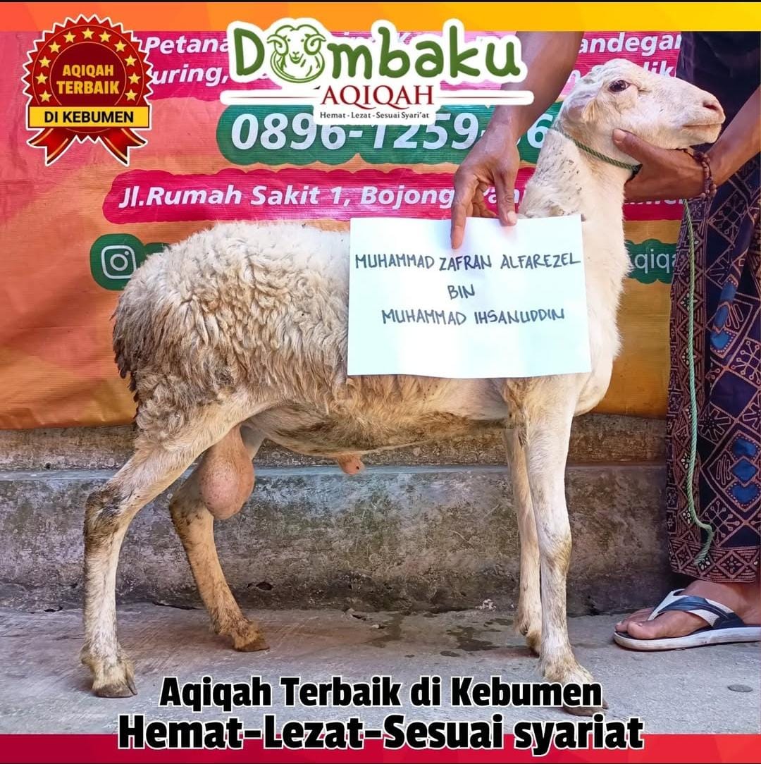 dokumentasi-kambing-aqiqah dokumentasi-kambing-aqiqah